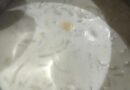 sopa de cebolla